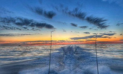 🎣 Pesca sportiva in mare: cosa cambia davvero nel 2026