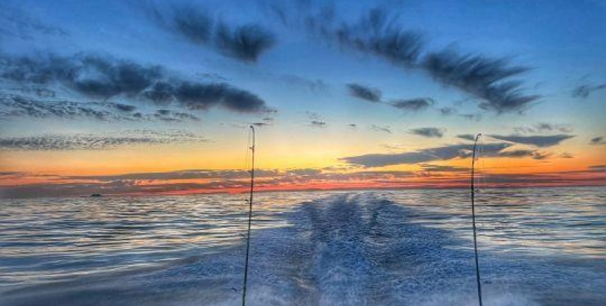 🎣 Pesca sportiva in mare: cosa cambia davvero nel 2026