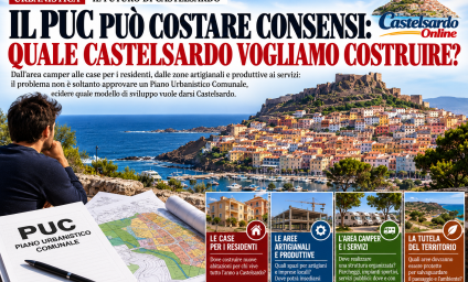 IL PUC PUÒ COSTARE CONSENSI